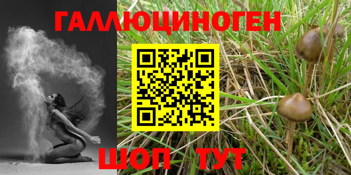 Галлюциногенные грибы Psilocybe  Вход с VPN  Уварово  Галлюциногенные грибы Cubensis 