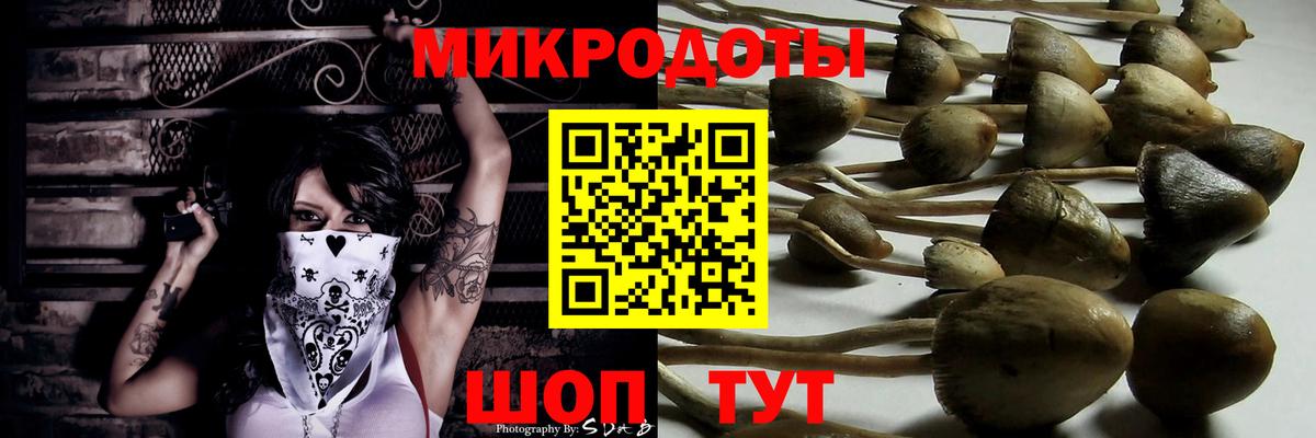 Галлюциногенные грибы Psilocybine cubensis Уварово